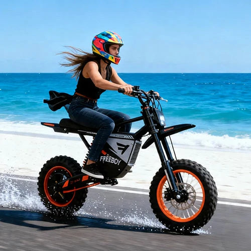 FREEBOY lightweight electric scooter two riders outdoor street category shot