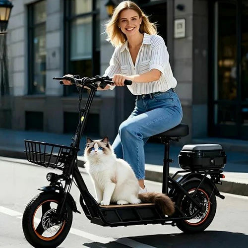 FREEBOY foldable electric scooter male rider coastal pavement scene