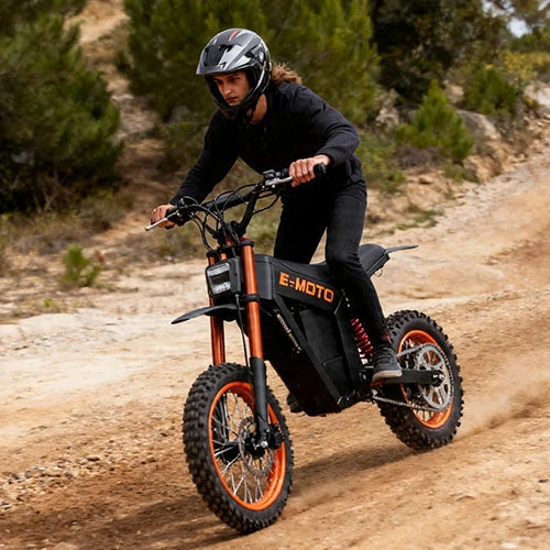 FREEBOY big tire off-road scooter seaside riding category promotional graphic