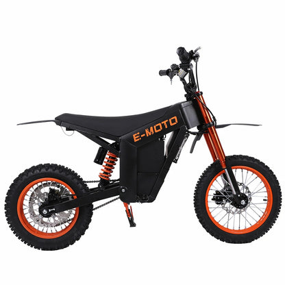 Freeboy Y01 E-Bike