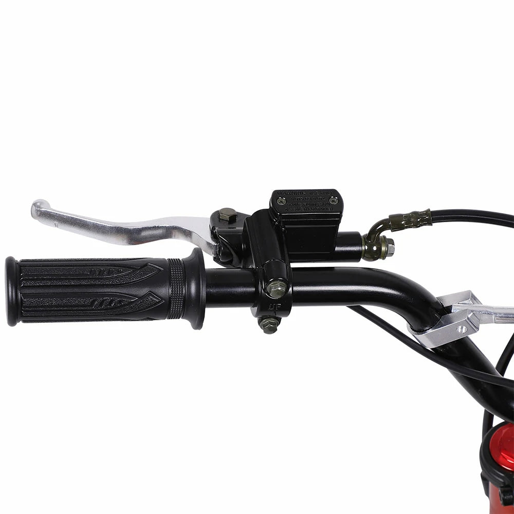 Freeboy Y01 E-Bike