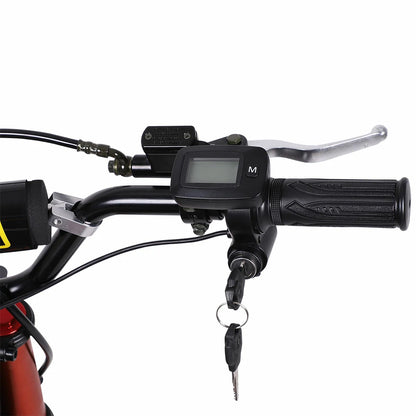 Freeboy Y01 E-Bike