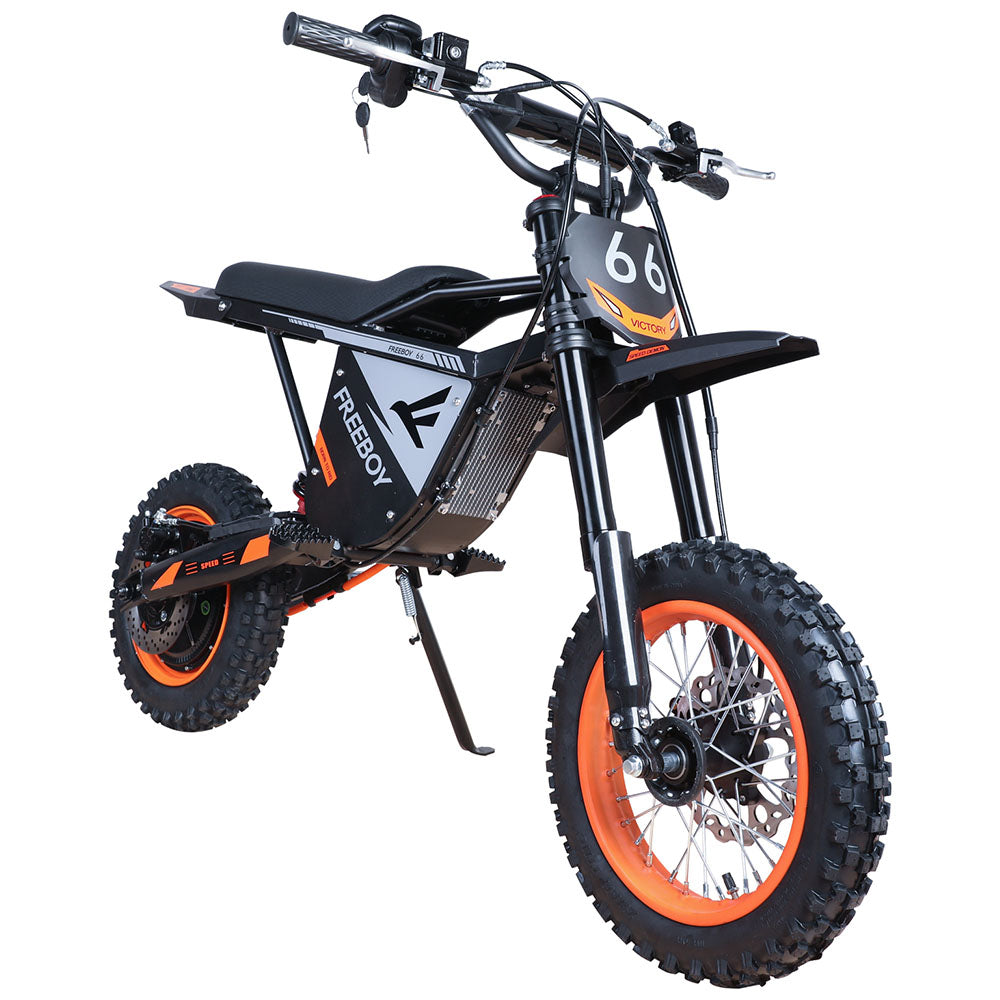 Freeboy Y66 E-Bike