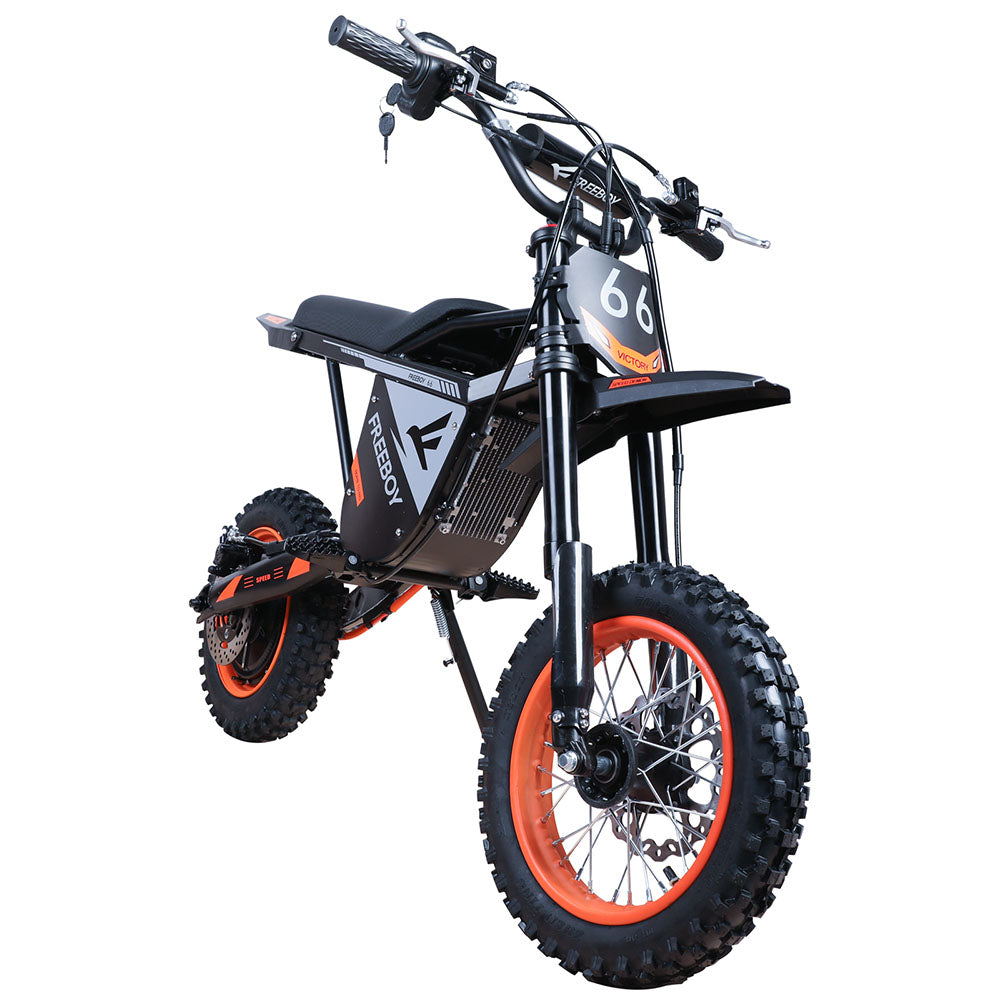 Freeboy Y66 E-Bike