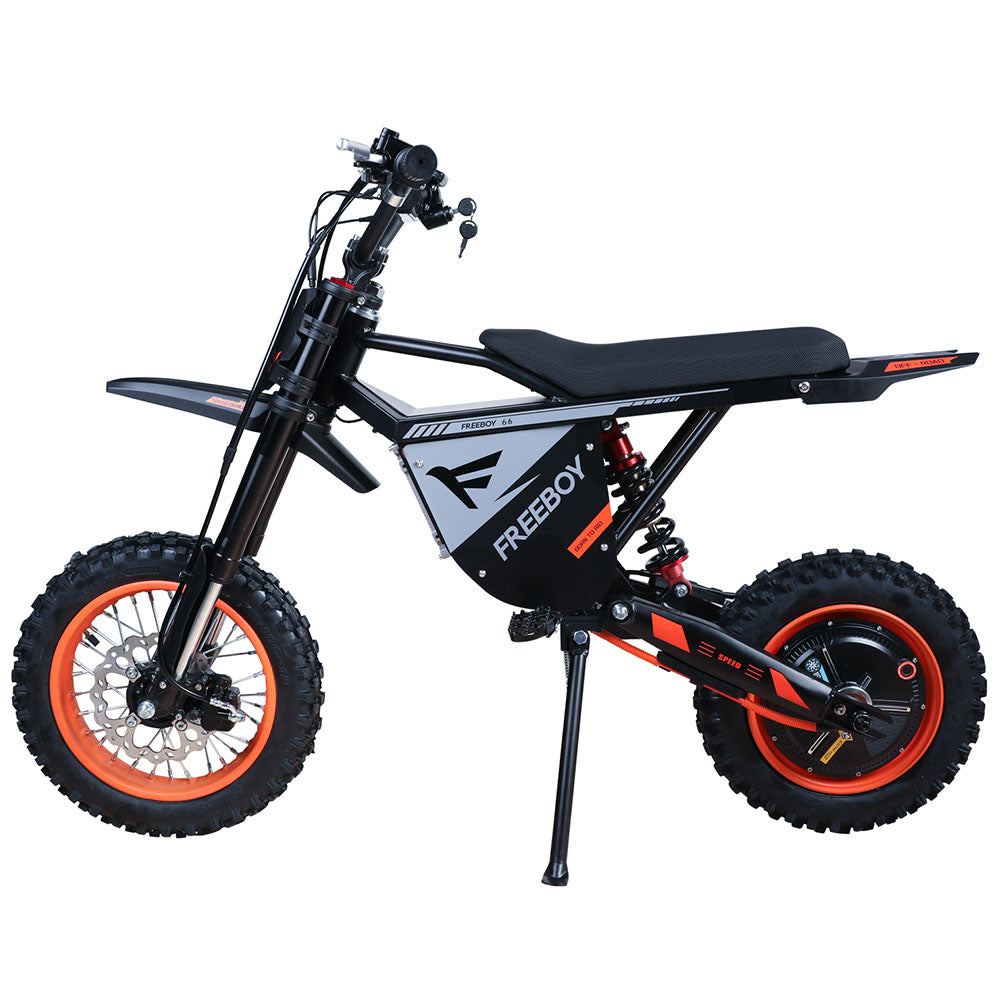 Freeboy Y66 E-Bike