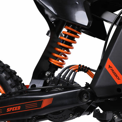 Freeboy Y88 E-Bike